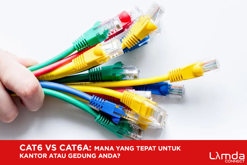 tumbnail_CAT_6_vs_CAT_6A